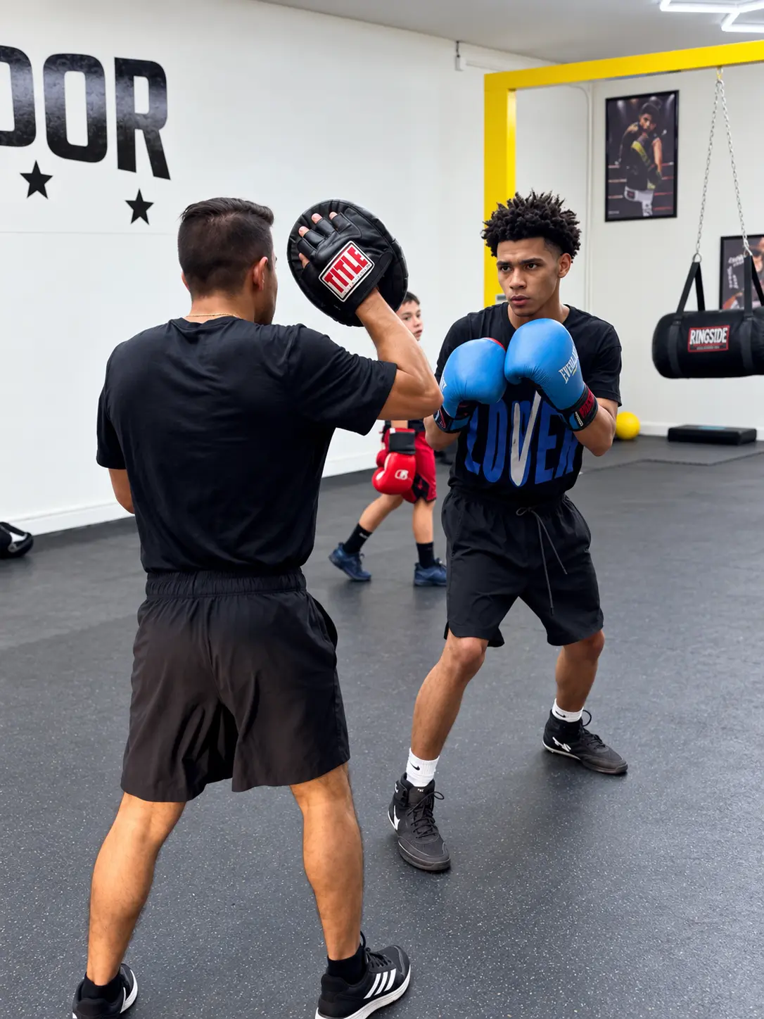 Competitive Boxing